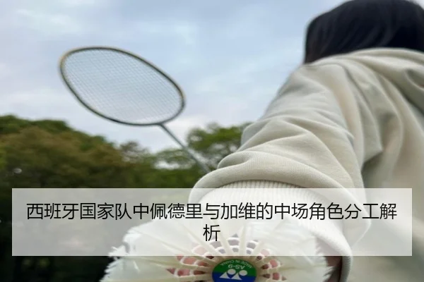 西班牙国家队中佩德里与加维的中场角色分工解析